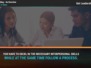 Got Leadership?® <mark>Coaching</mark> - An Overview